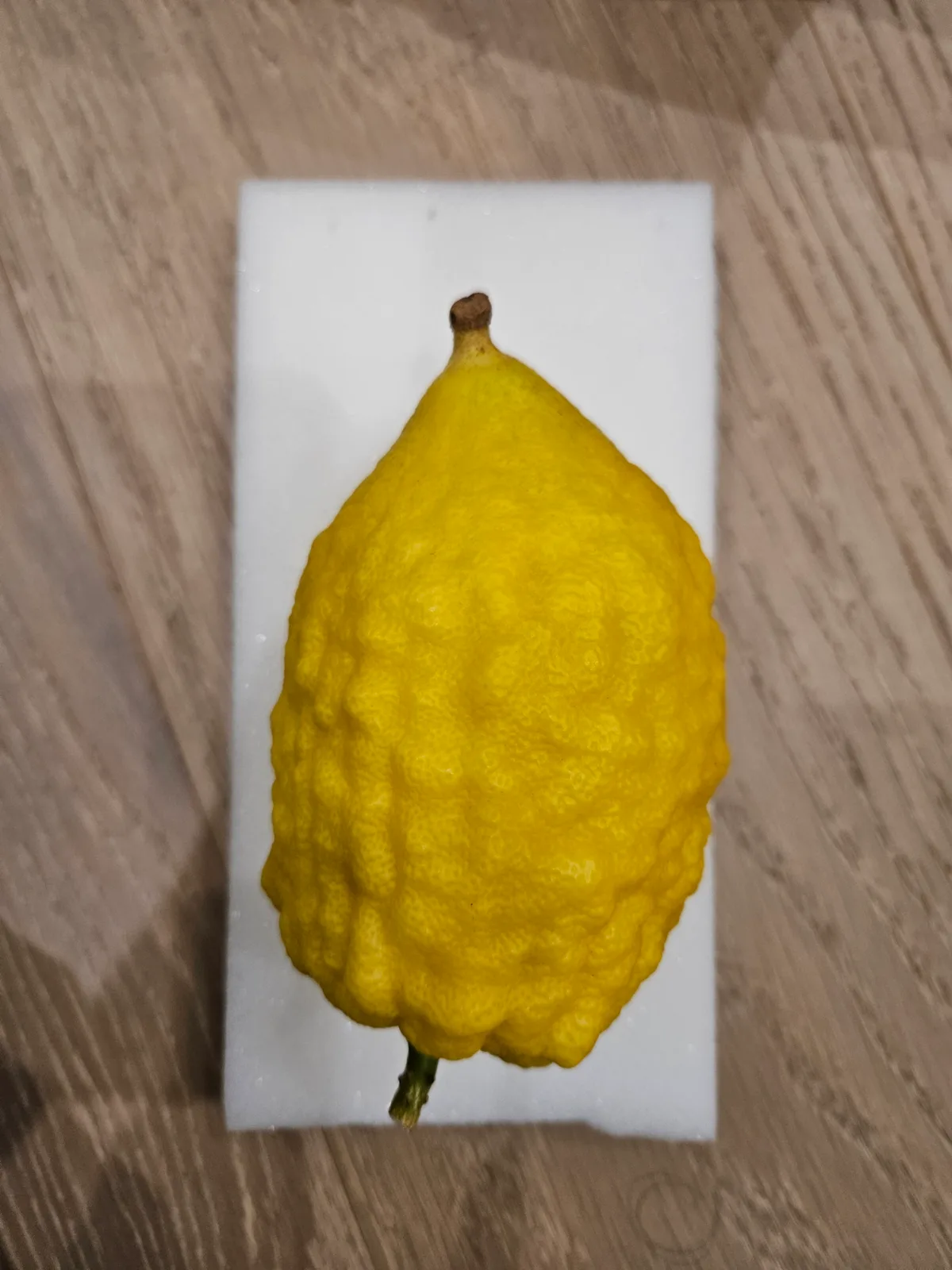 Etrog I019