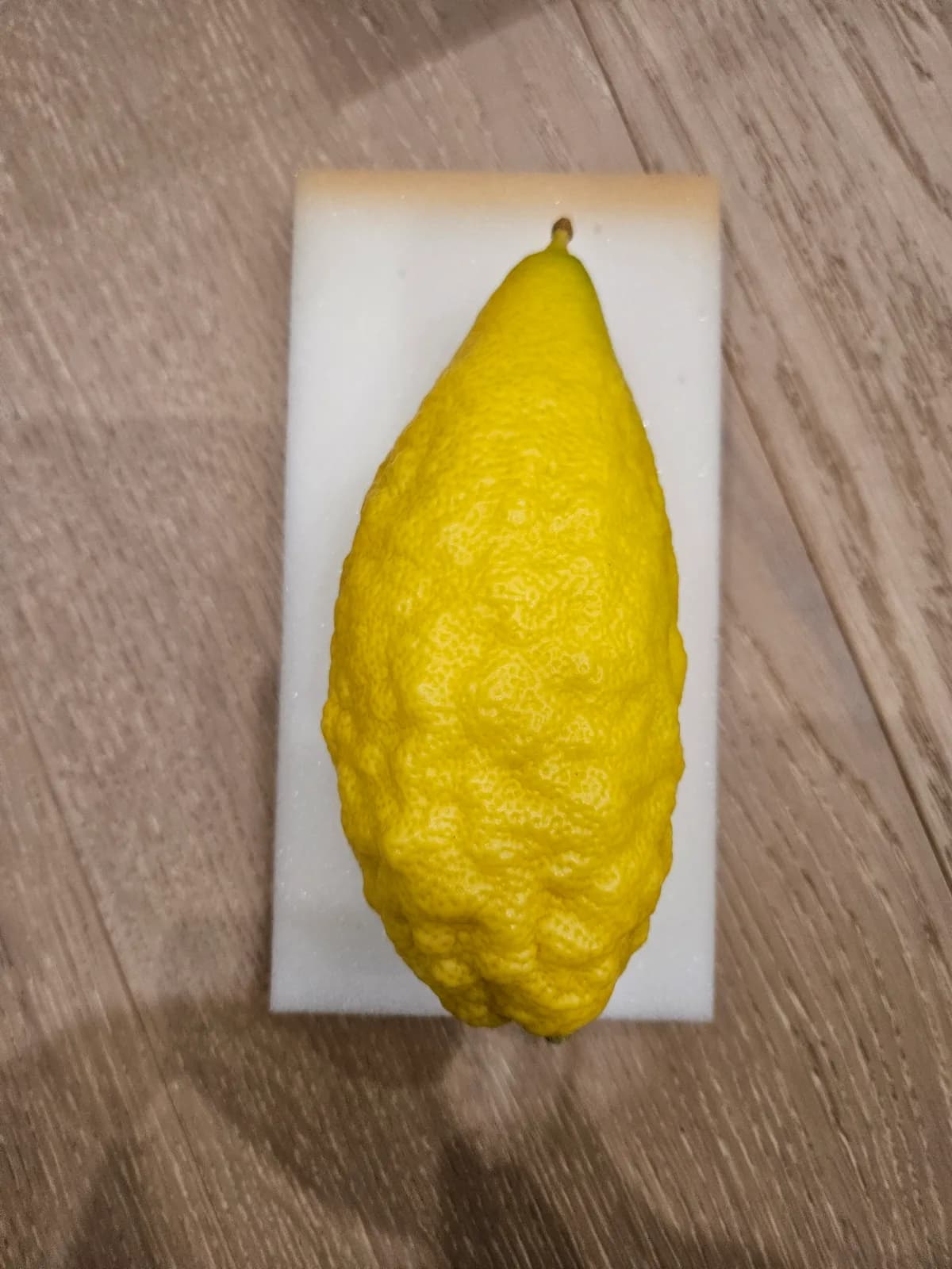 Israeli Etrog I035