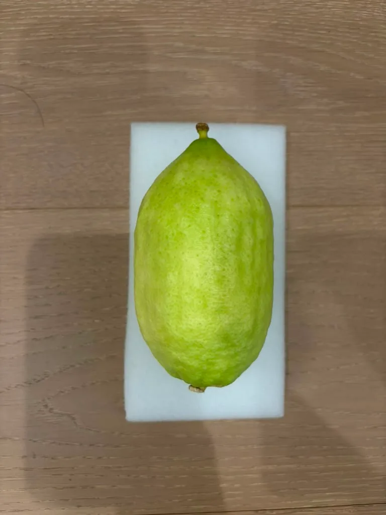 Moroccan Etrog M027