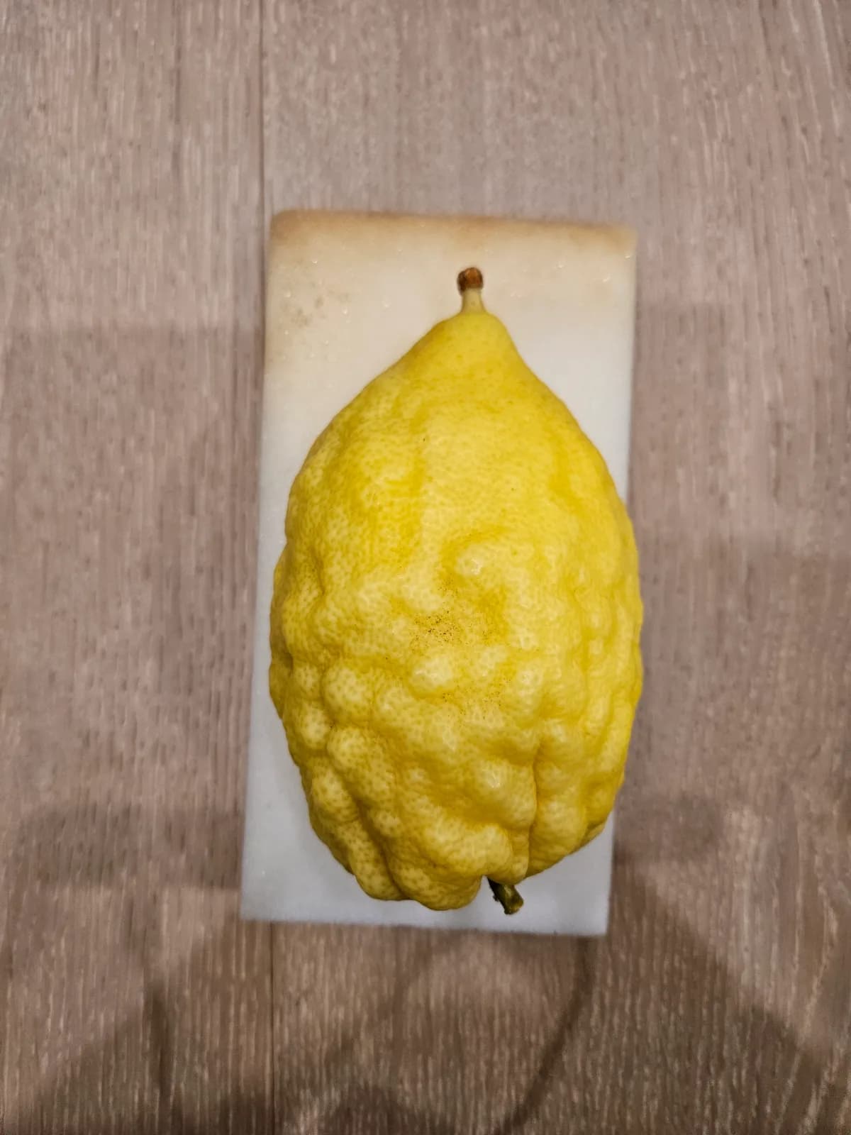 Israeli Etrog I053