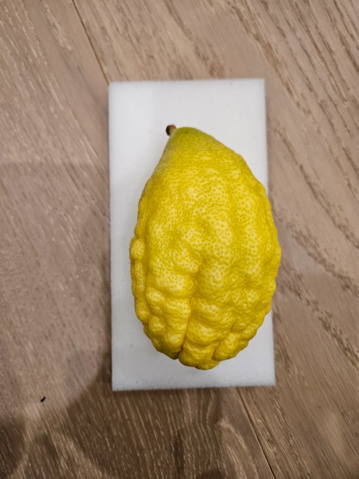 Israeli Etrog I045