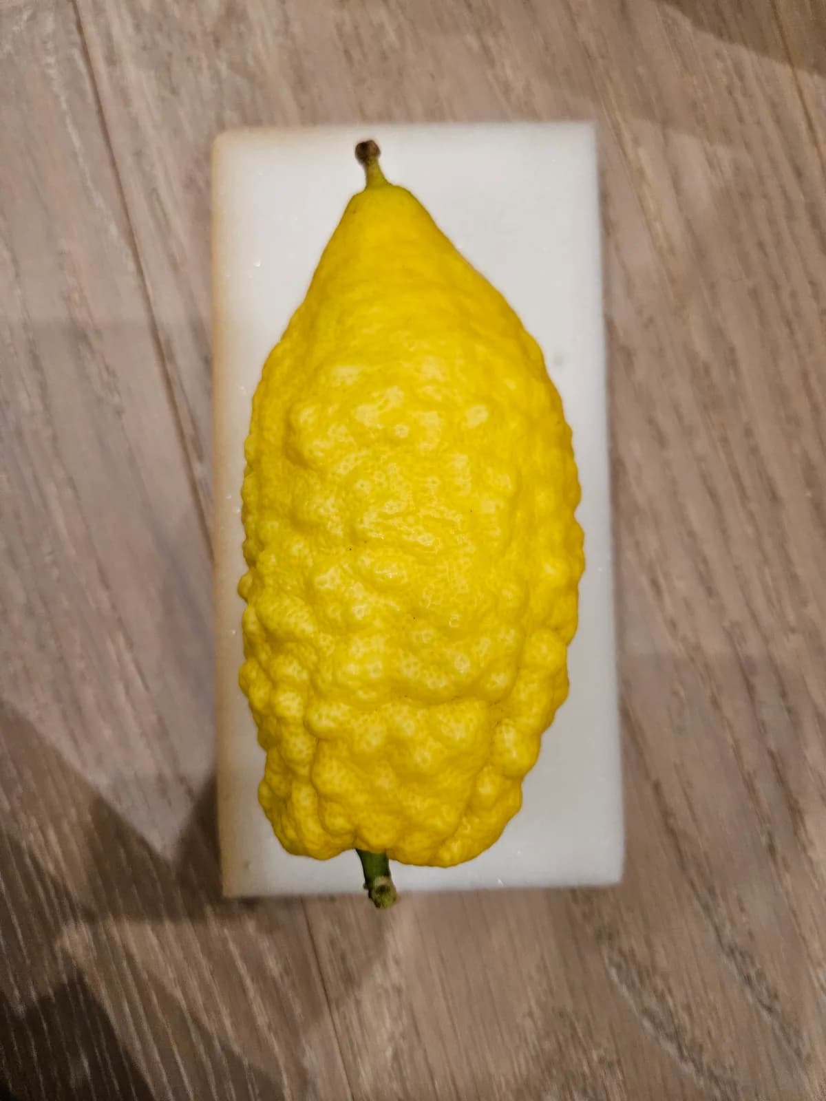 Israeli Etrog I013