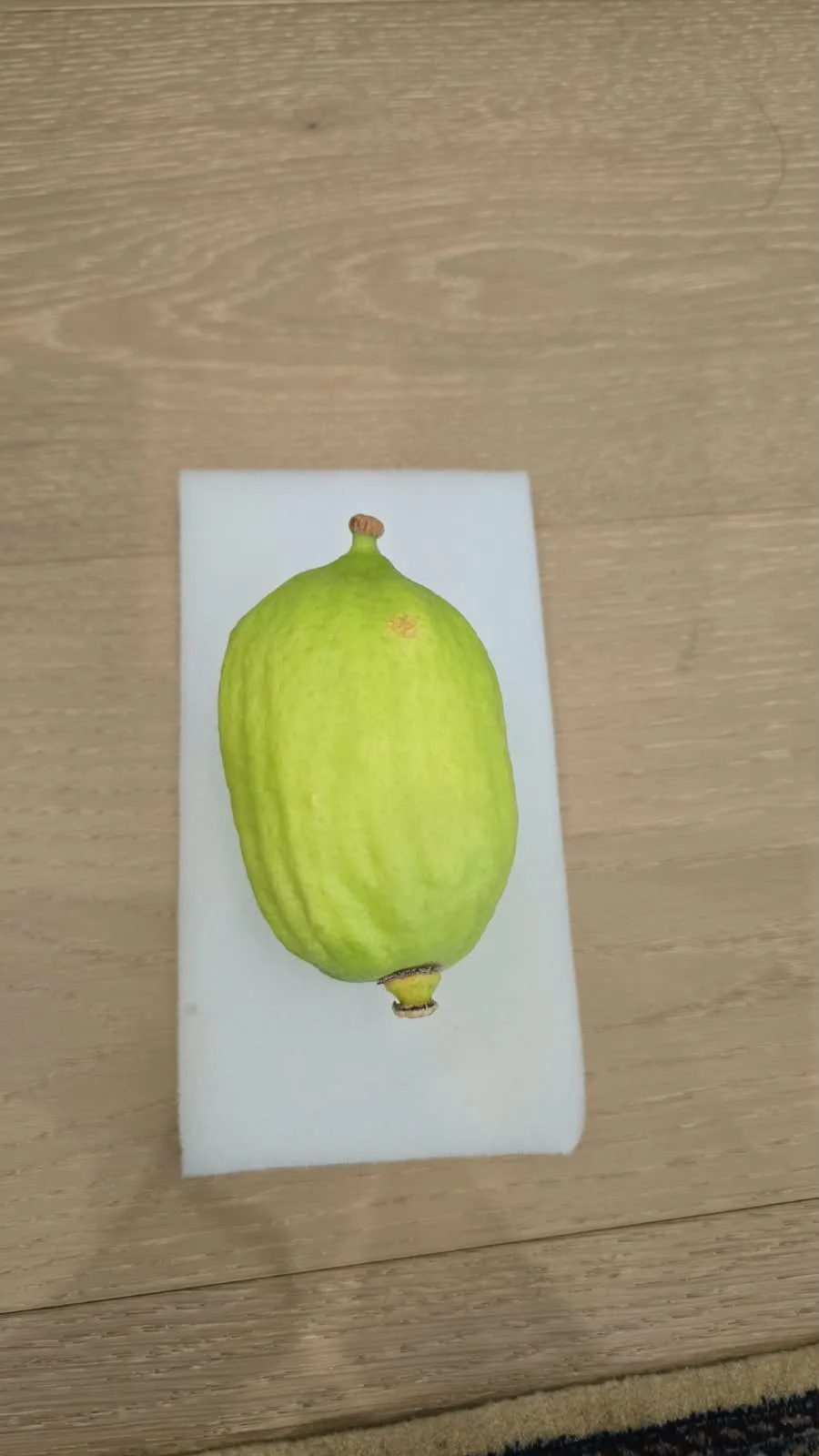 Moroccan Etrog M006