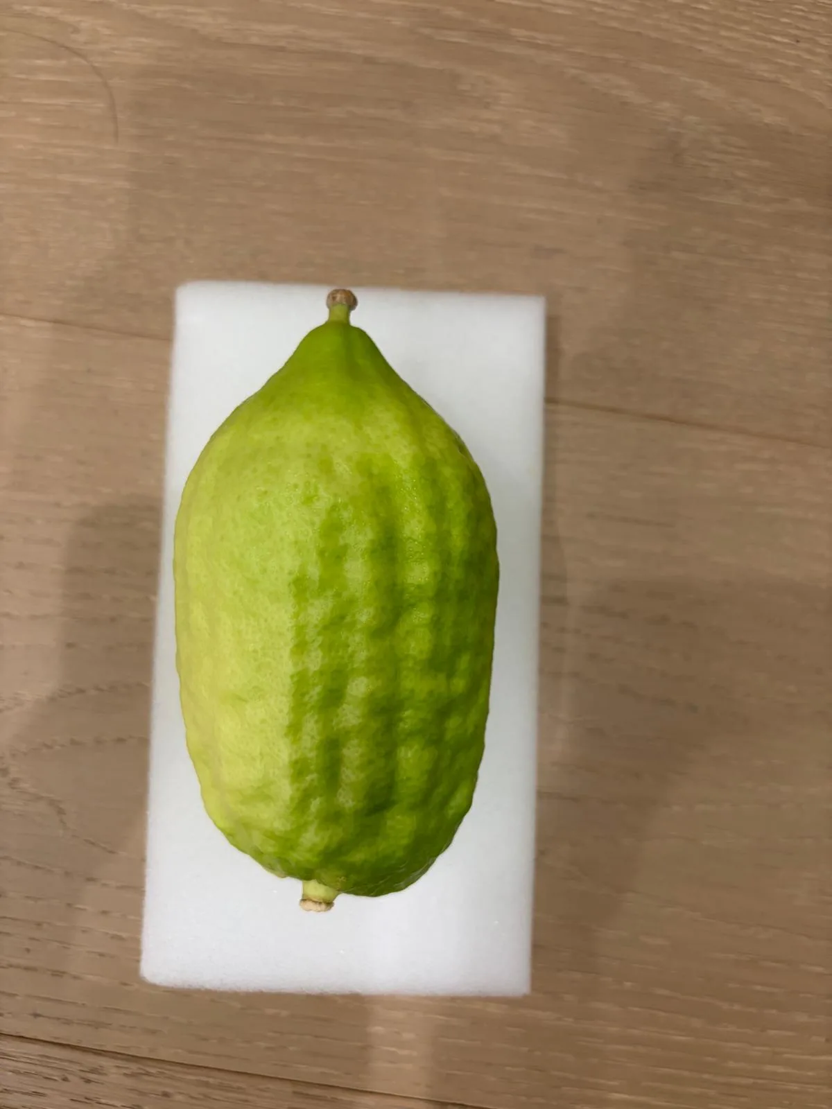 Moroccan Etrog M025