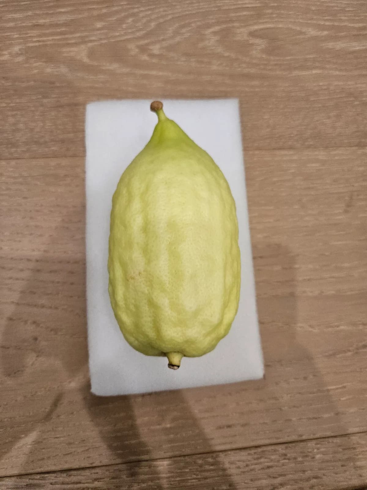 Moroccan Etrog M014