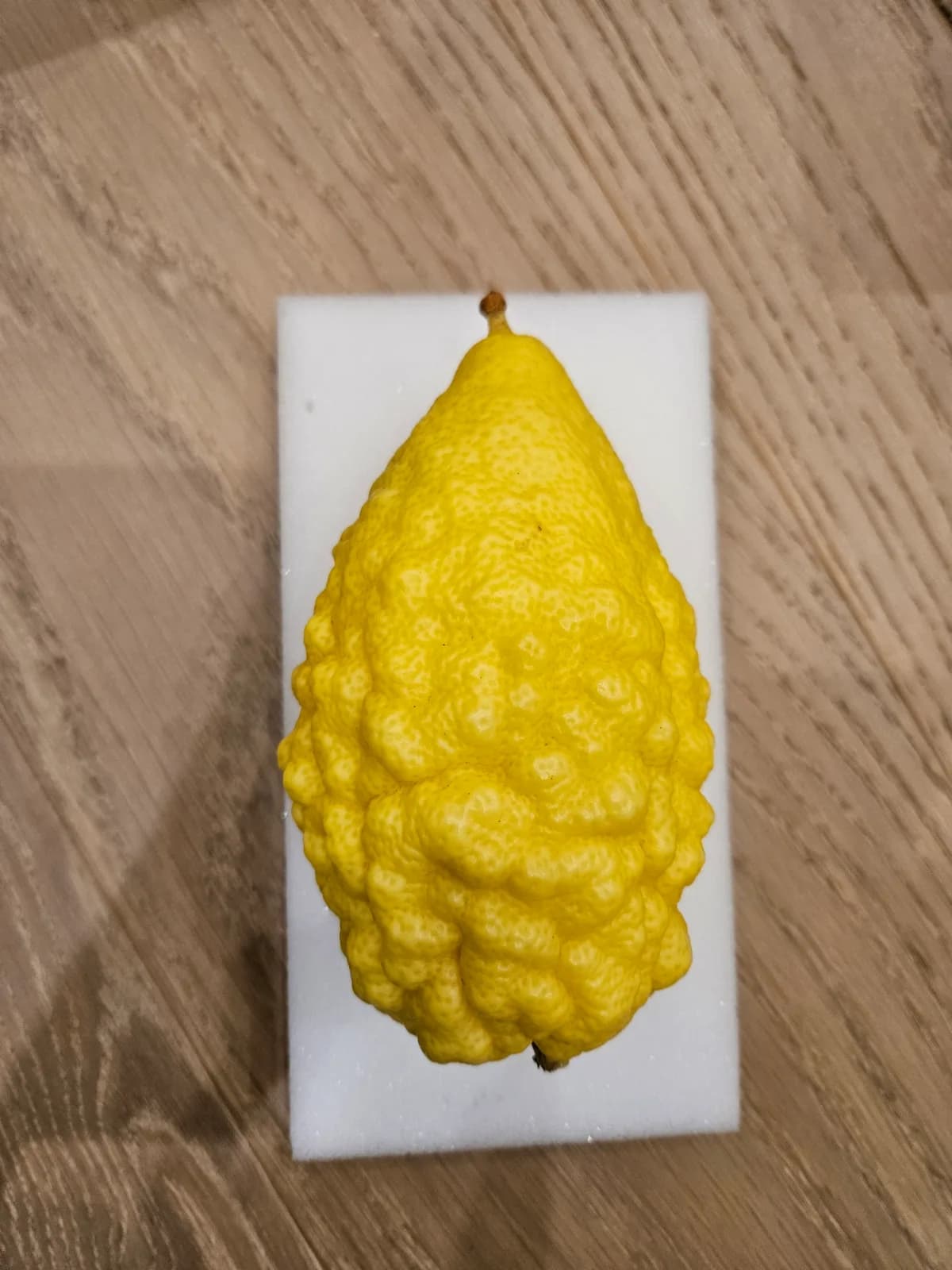 Israeli Etrog I023