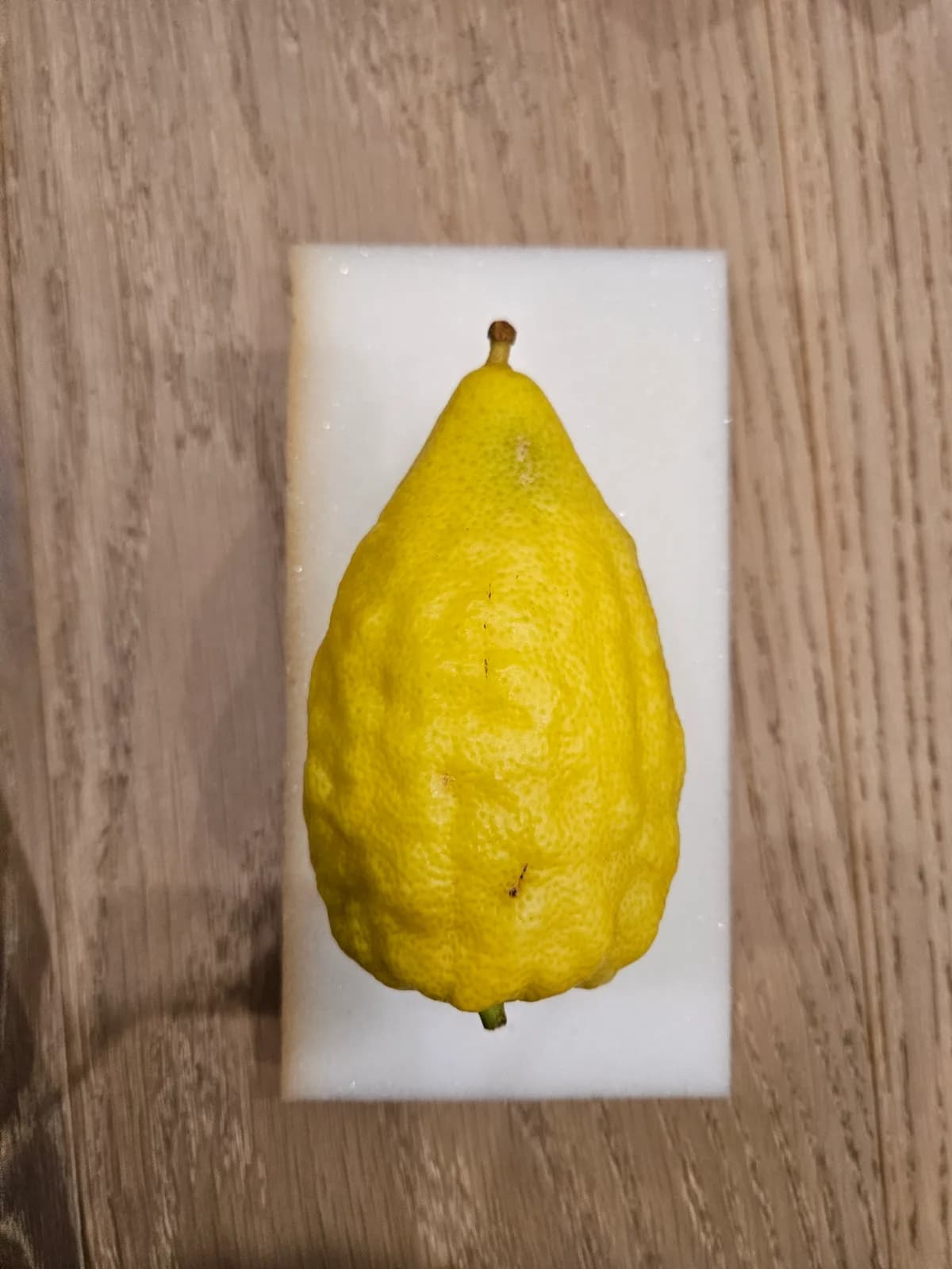 Israeli Etrog I018