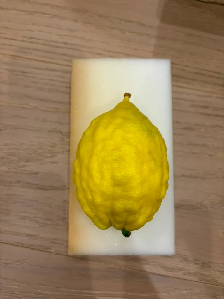 Israeli Etrog I006
