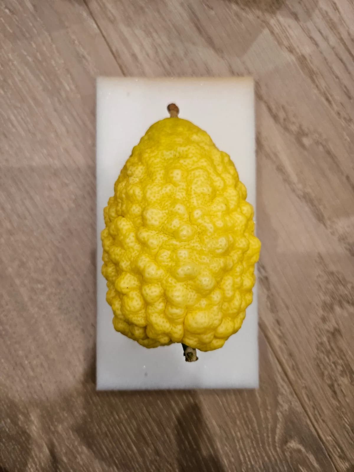 Israeli Etrog I031