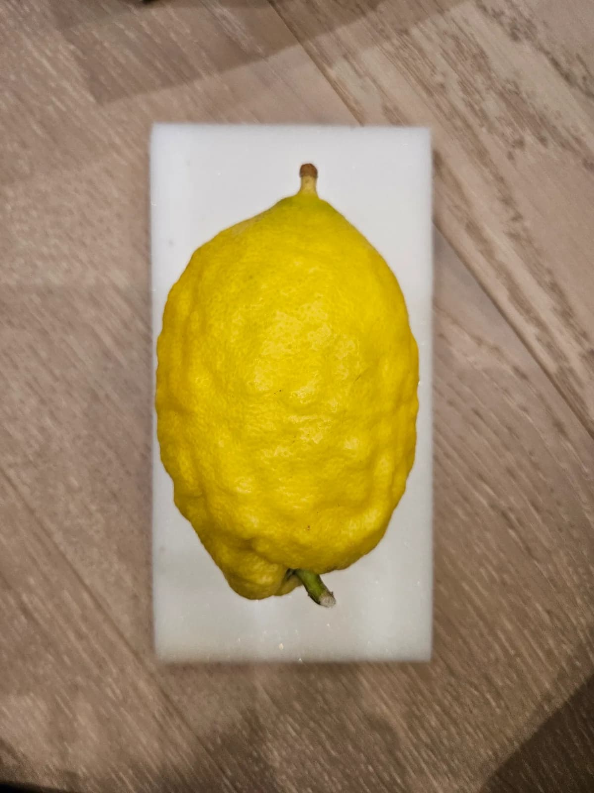 Israeli Etrog I033