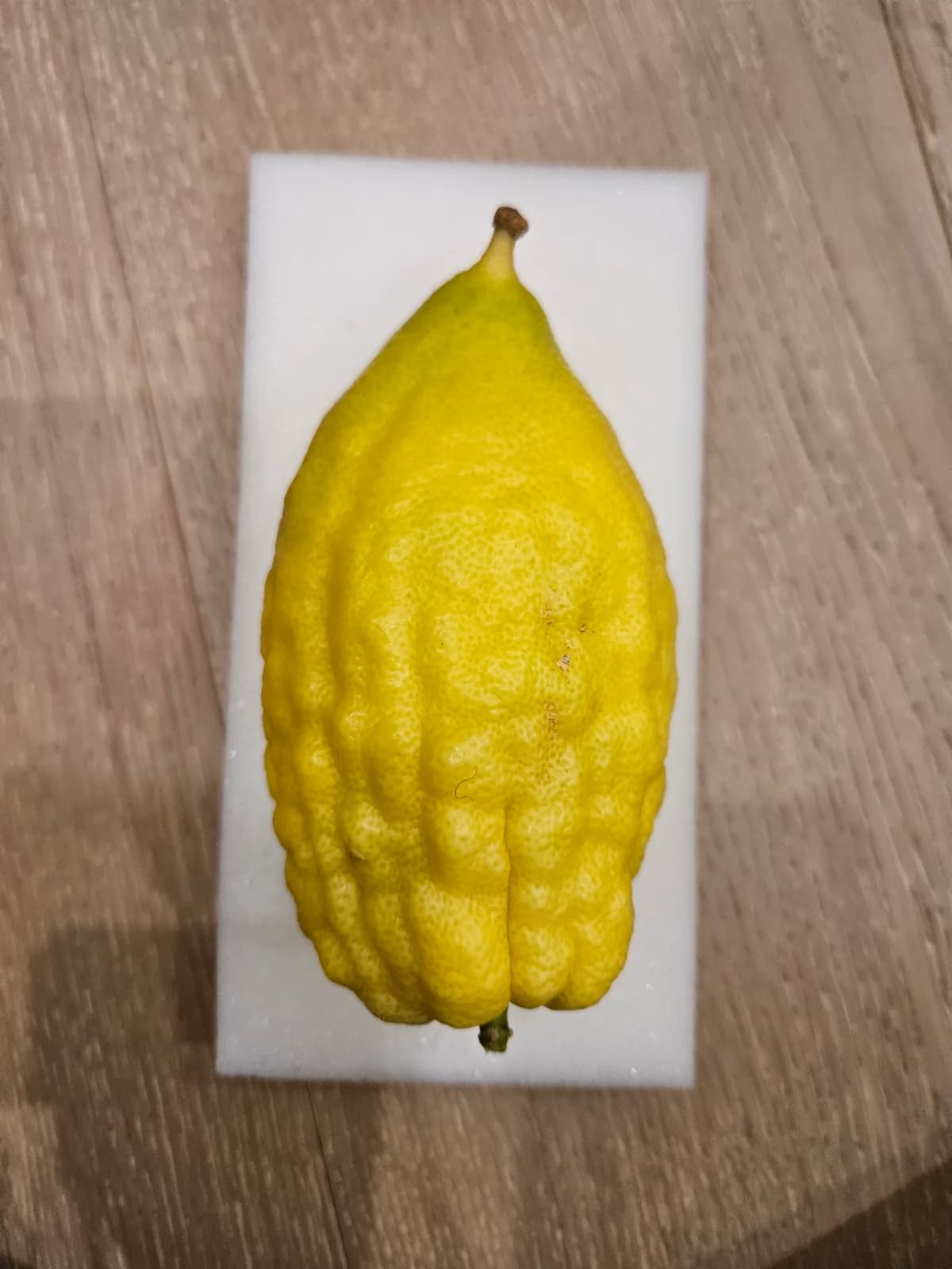 Israeli Etrog I034