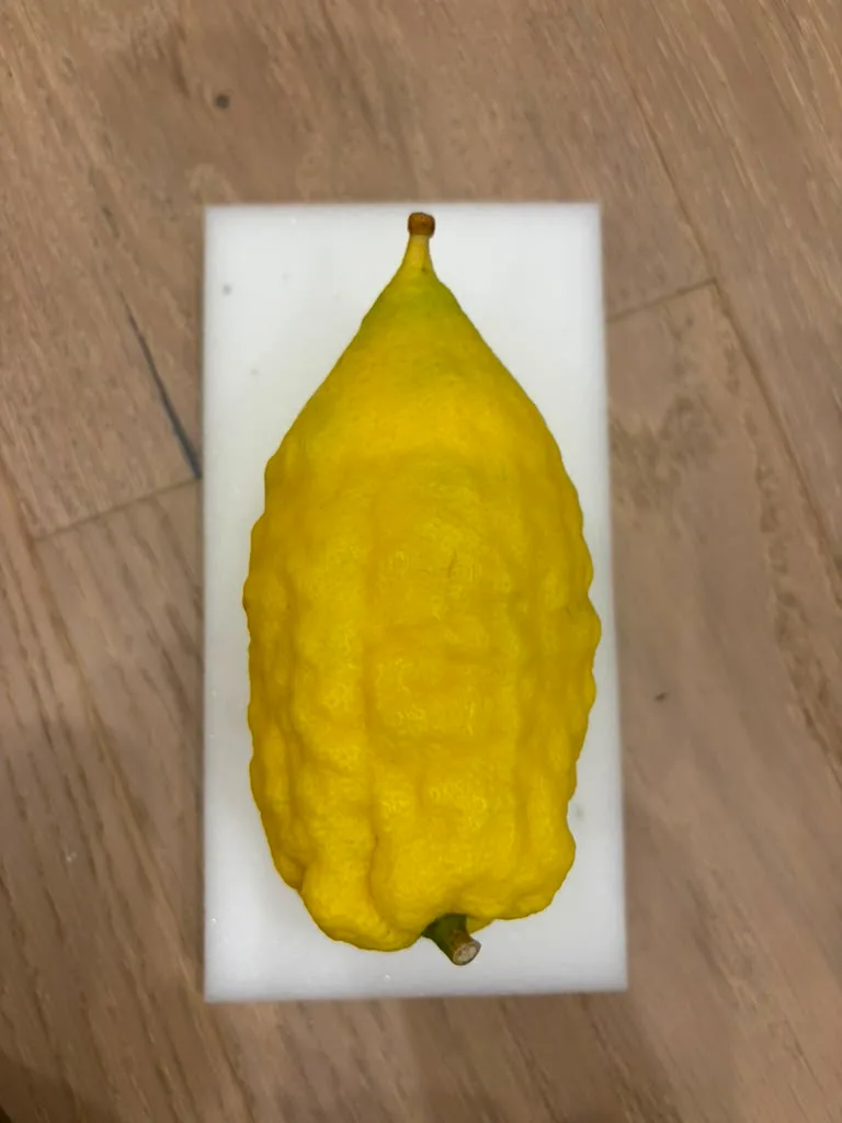 Israeli Etrog I005