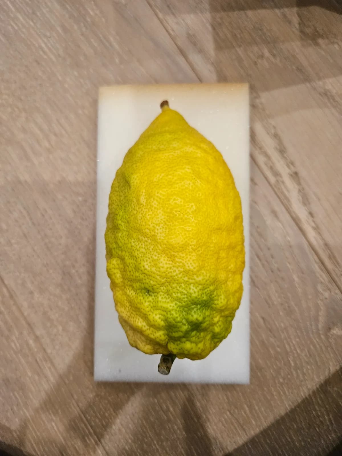Israeli Etrog I024