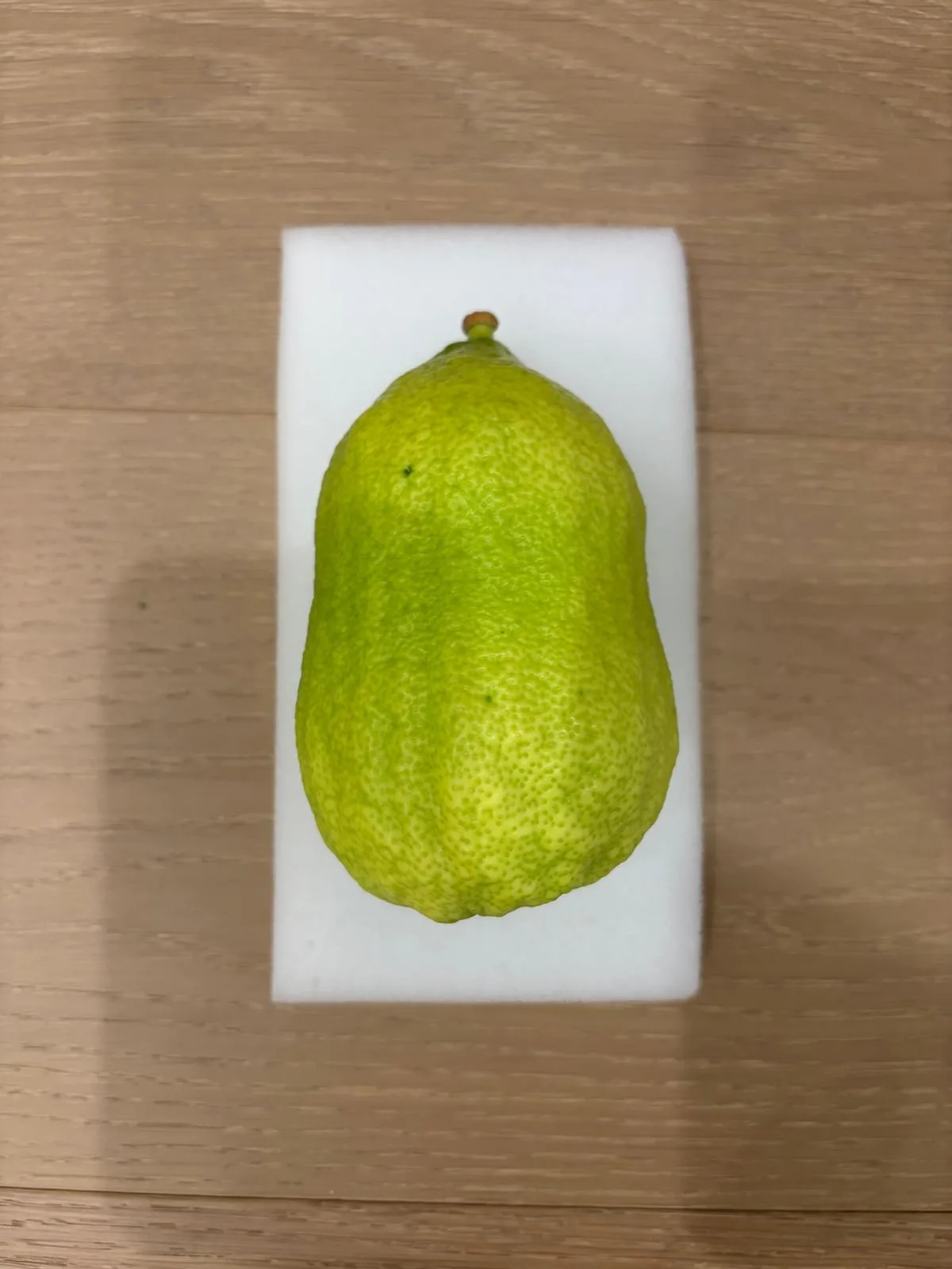 Moroccan Etrog M026