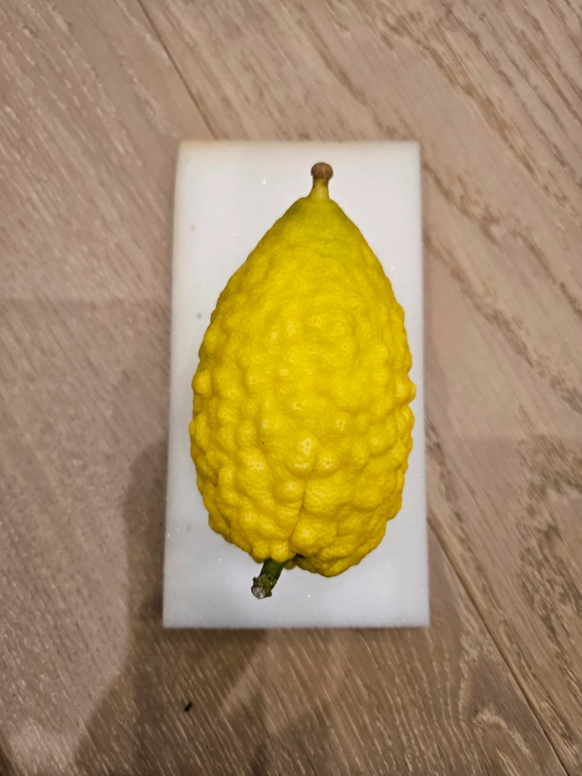 Israeli Etrog I046
