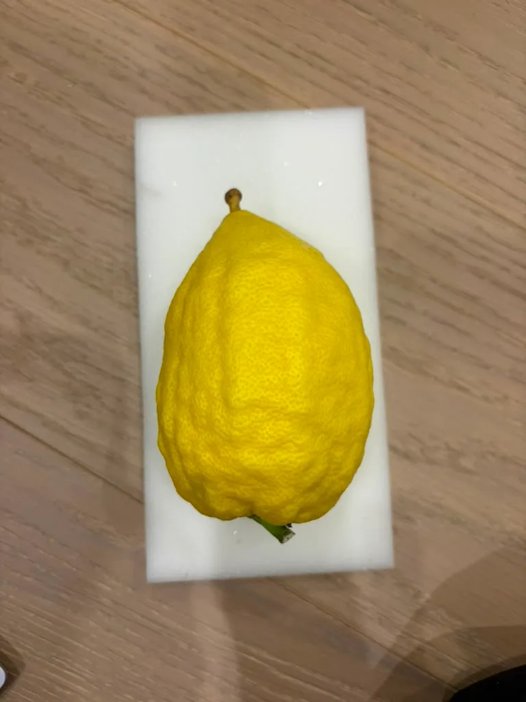 Israeli Etrog I007