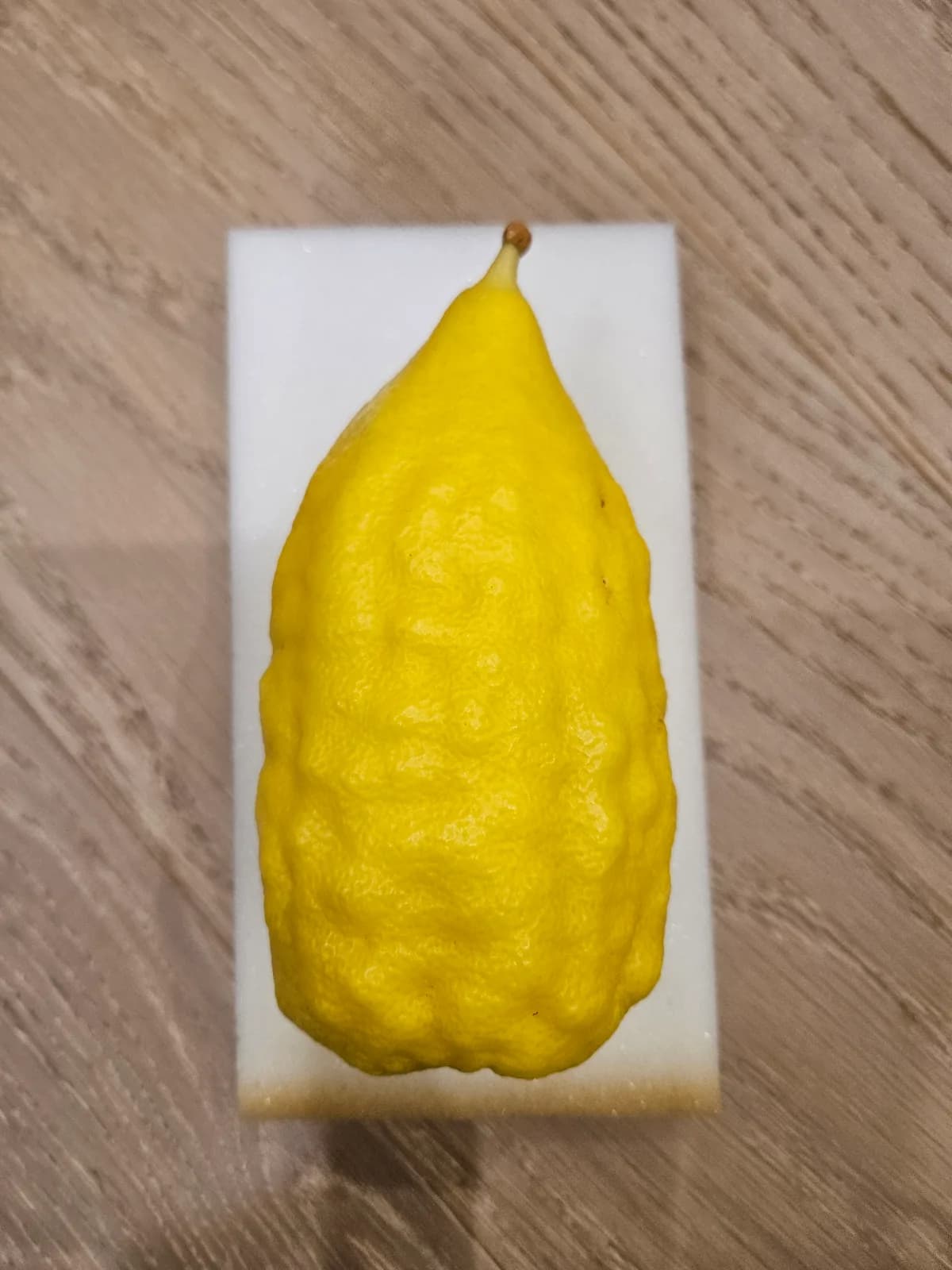 Israeli Etrog I044