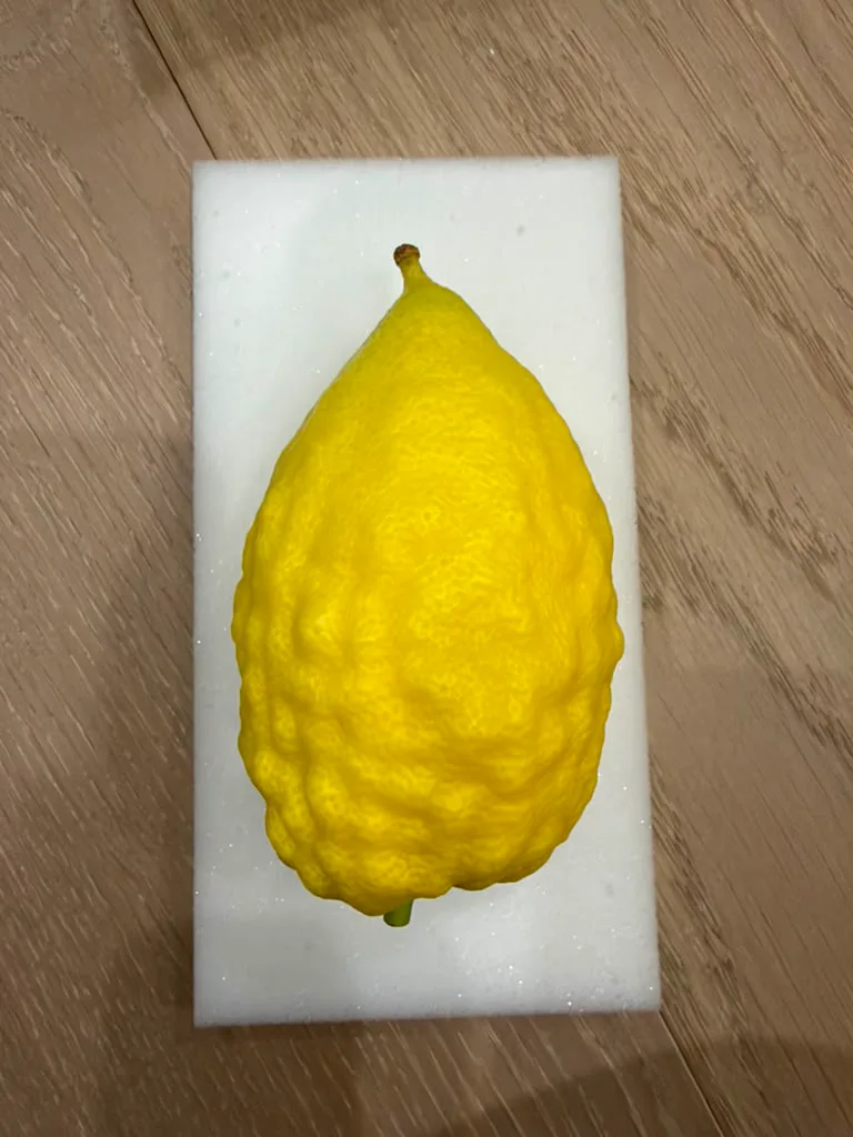 Israeli Etrog I009