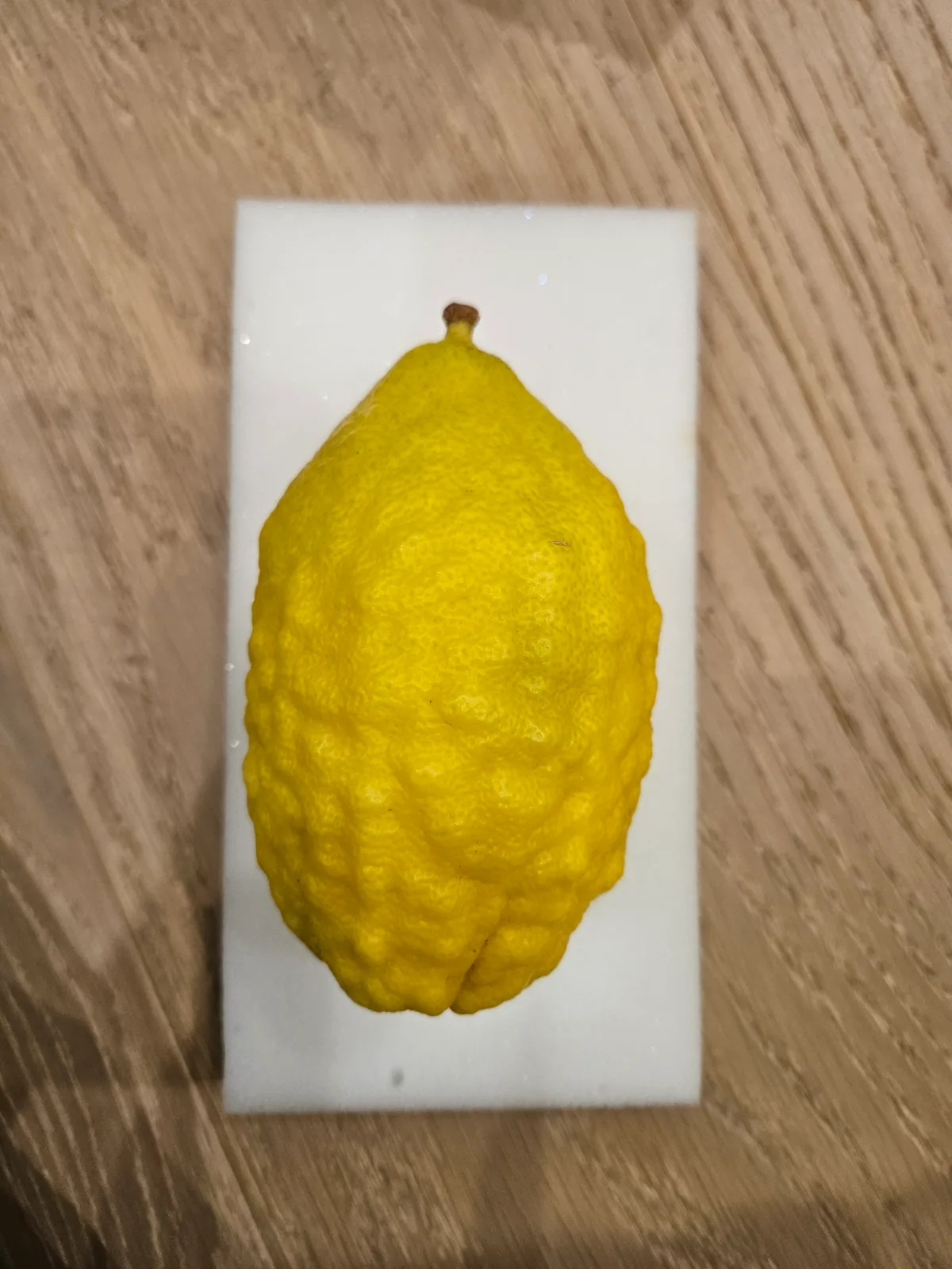 Israeli Etrog I017
