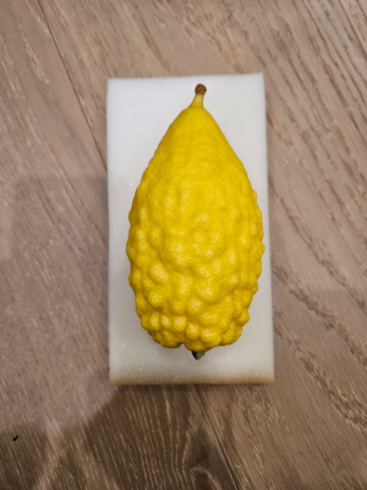 Israeli Etrog I050