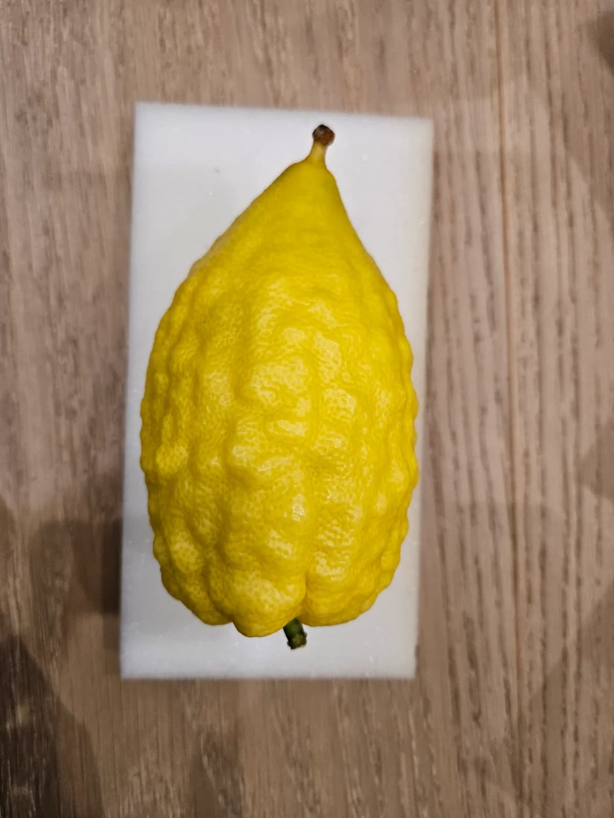 Israeli Etrog I011