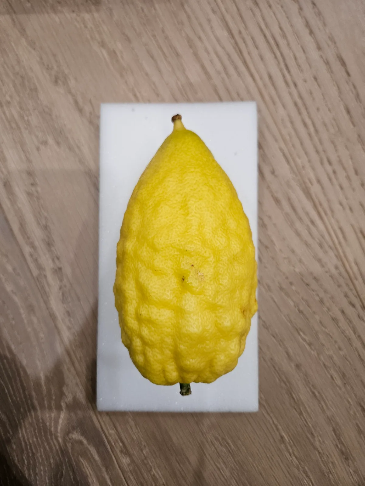 Israeli Etrog I021